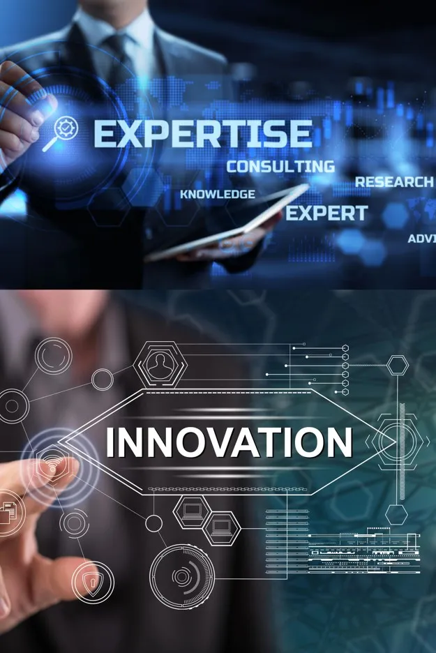 Expertise and Innovation